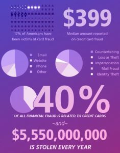 How important is credit card fraud in the US?