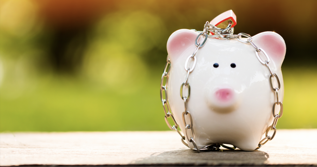 Price protection - Piggy Bank